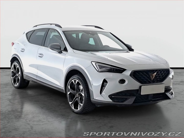 Cupra Formentor 2.0 TSI 4Drive 2024