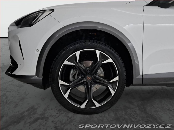 Cupra Formentor 2.0 TSI 4Drive 2024