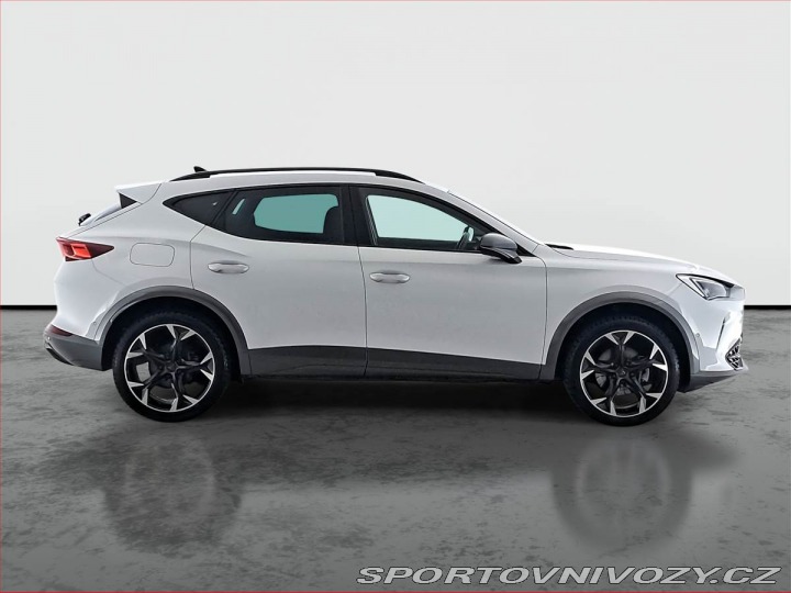Cupra Formentor 2.0 TSI 4Drive 2024