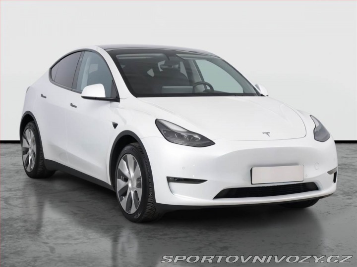 Tesla Model Y Long Range AWD 79kWh, SoH 2022