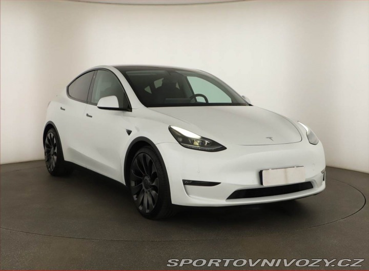 Tesla Model Y Performance 79kWh 2022