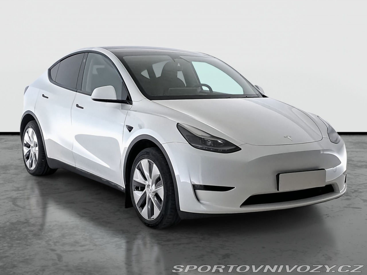Tesla Model Y Long Range AWD 79kWh