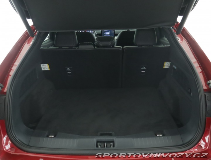 Ford Mustang Mach-E Standard Range RW 2021