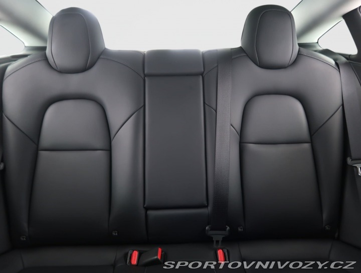 Tesla Model 3 Std Range Plus 52kWh 2019