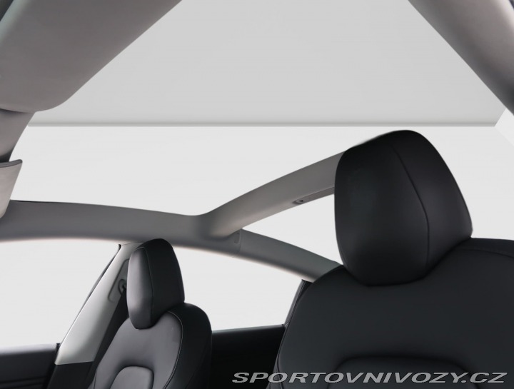 Tesla Model 3 Std Range Plus 52kWh 2019