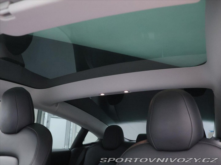 Tesla Model 3 LR DM Performance SOH 99% 2021