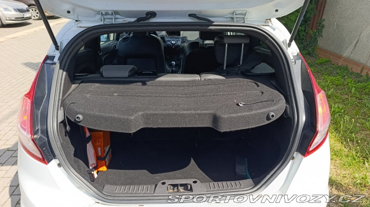 Ford Fiesta ST  2013