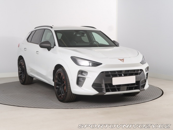 Cupra Terramar 2.0 TSI 4Drive 2025