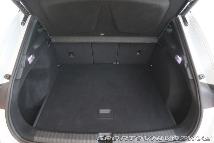 Cupra Terramar 2.0 TSI 4Drive 2025