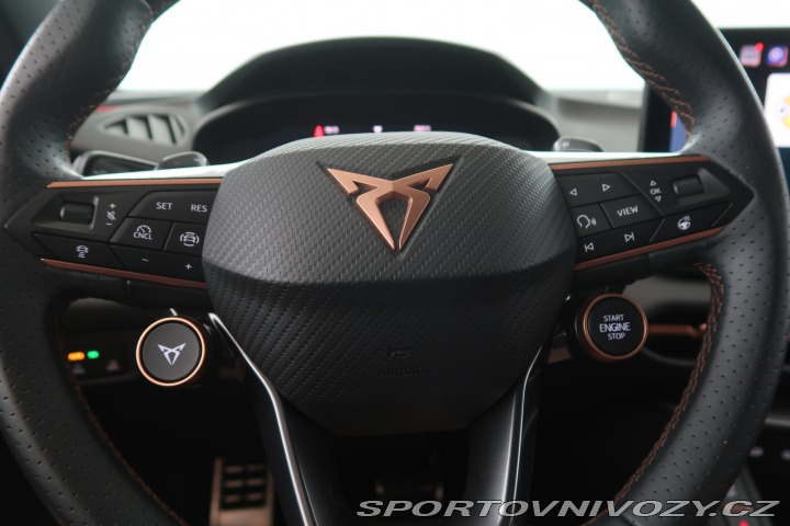 Cupra Terramar 2.0 TSI 4Drive 2025