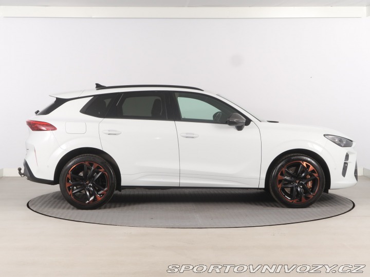Cupra Terramar 2.0 TSI 4Drive 2025
