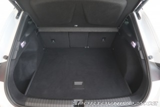 Cupra Terramar 2.0 TSI 4Drive 2025
