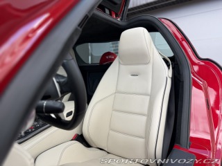 Mercedes-Benz SLS AMG Coupe 2010