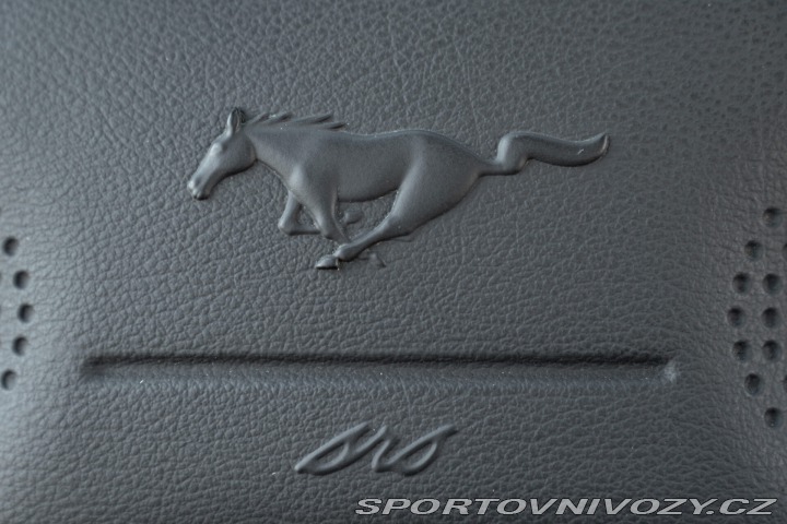 Ford Mustang GT V8 SRS 2002
