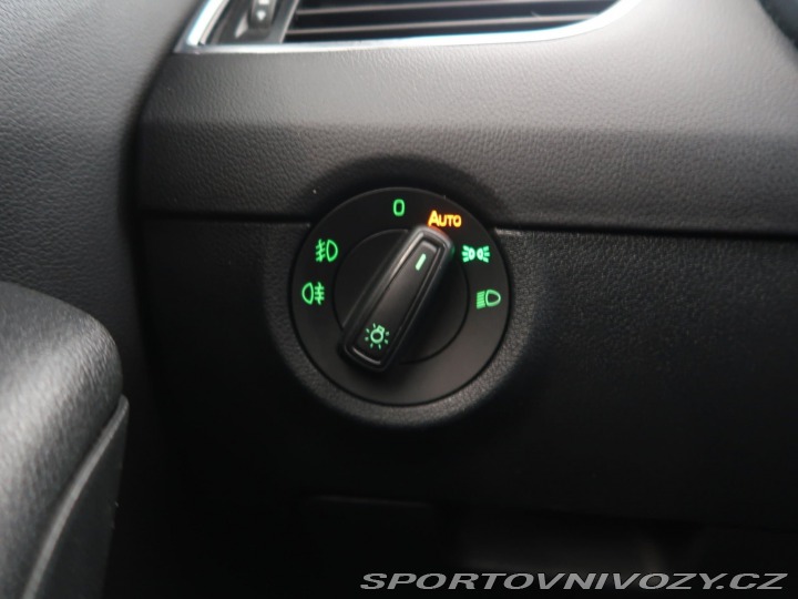 Škoda Octavia RS RS RS 2.0 TDI 2013
