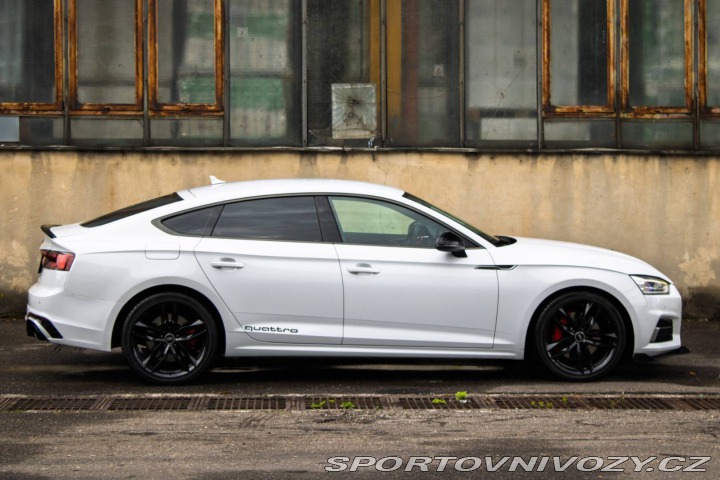 Audi A5 Sportback 50 3.0 TDI qua 2019