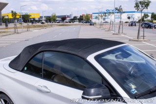 BMW 2 Cabrio 228i M Sport A/T, 2016