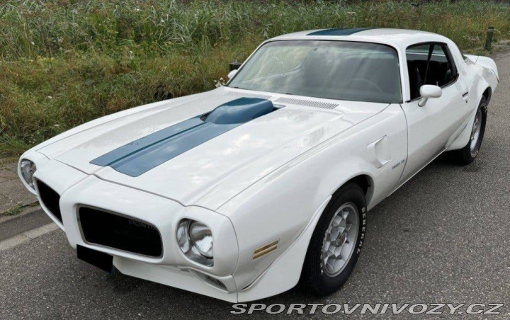 Pontiac Ostatní modely TRANS-AM V8 6.6 1977