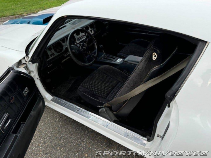Pontiac Ostatní modely TRANS-AM V8 6.6 1977