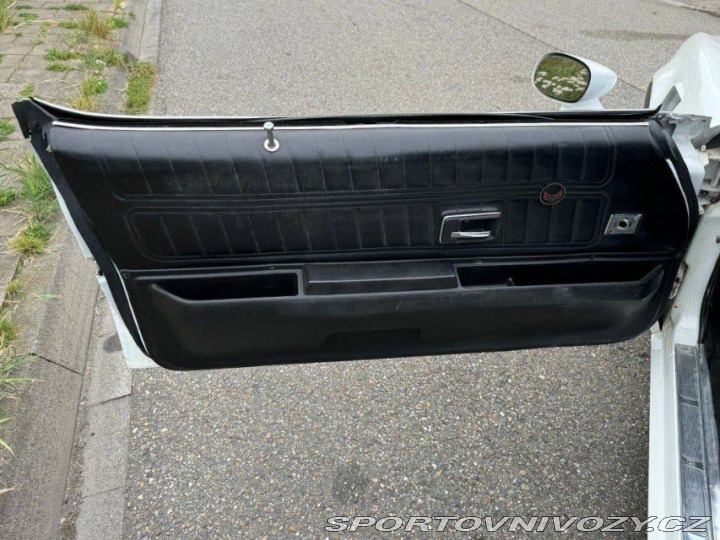 Pontiac Ostatní modely TRANS-AM V8 6.6 1977