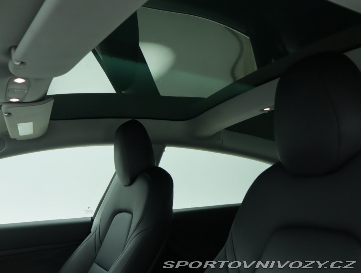 Tesla Model 3 Std Range Plus 52kWh 2020