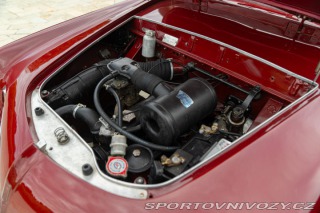 Fiat Coupé 1100/103 Coupé ALLEMANO 1953