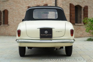 Fiat Ostatní modely 1100/103 Cabriolet Allemano 1954