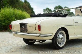 Fiat Ostatní modely 1100/103 Cabriolet Allemano 1954