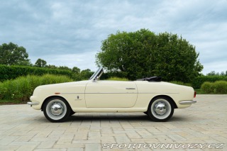 Fiat Ostatní modely 1100/103 Cabriolet Allemano 1954