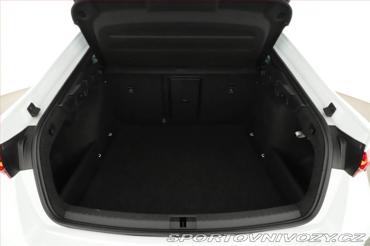 Škoda Octavia RS RS 2.0 TSI, RS, Navigace 2024