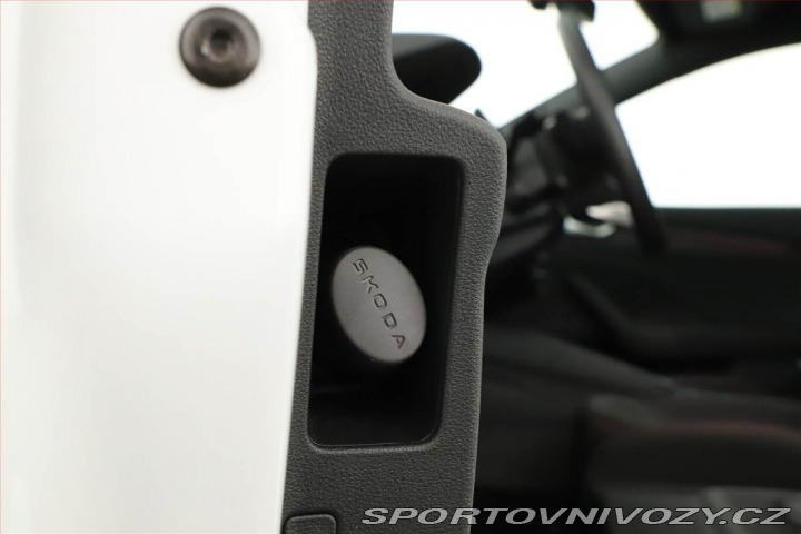 Škoda Octavia RS RS 2.0 TSI, RS, Navigace 2024