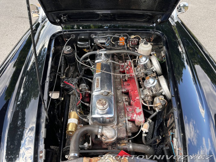 Ostatní značky Ostatní modely Austin Healey 3000 MkII 1962