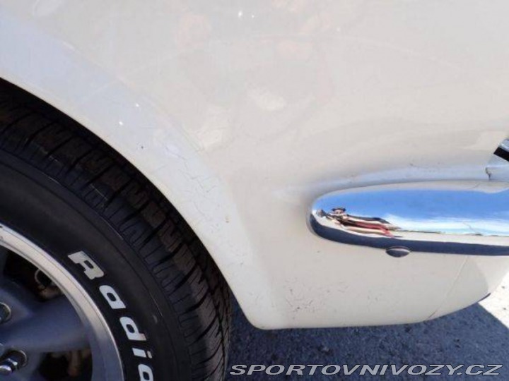Ford Mustang Fastback 1966