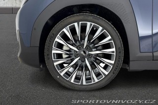 Mini Ostatní modely Aceman E Aceman SE 2024