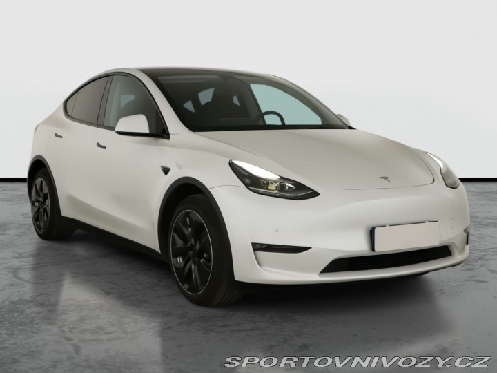 Tesla Model Y Long Range AWD 79kWh 2022