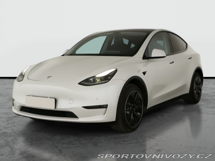 Tesla Model Y Long Range AWD 79kWh 2022
