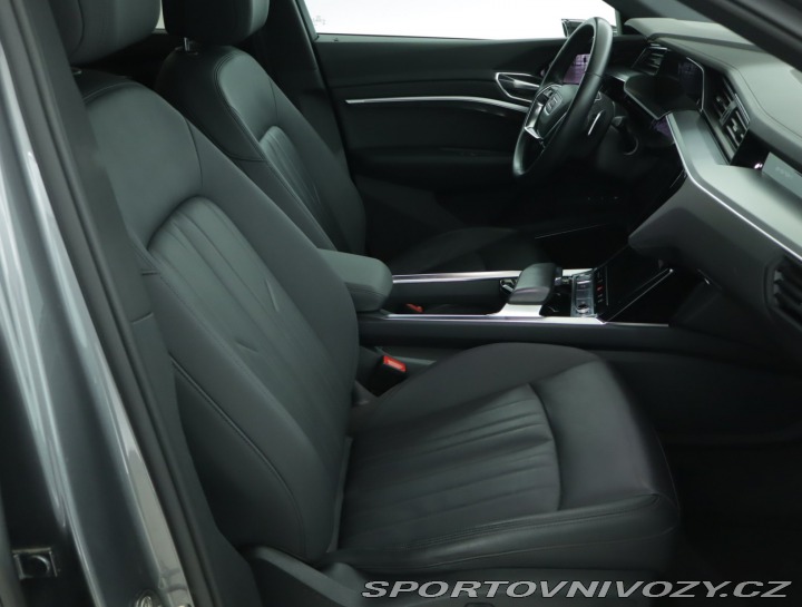 Audi Ostatní modely e-tron  e-tron 55 quattro 2019