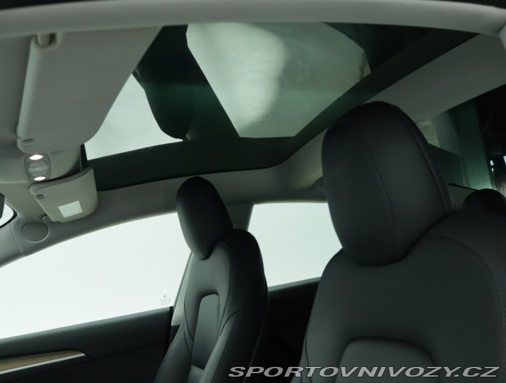 Tesla Model 3 Std Range Plus LFP 2021