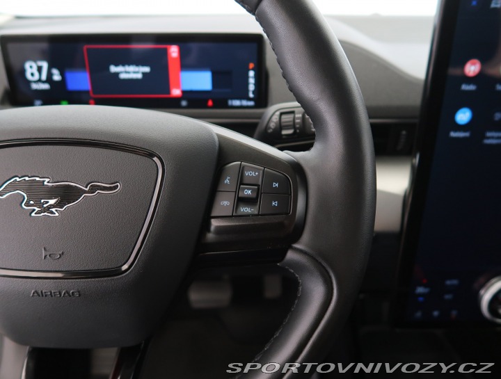 Ford Mustang Mach-E  Standard Range RW 2021