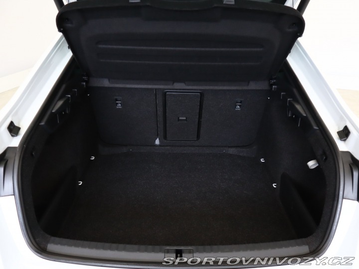 Škoda Octavia RS RS RS 2.0 TDI 4x4 2024