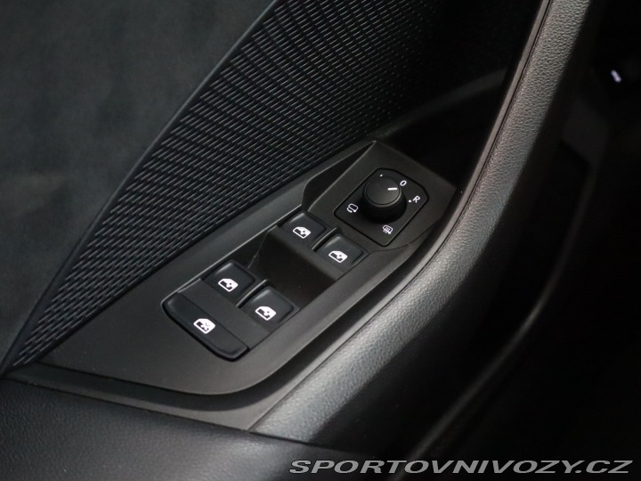 Škoda Octavia RS RS RS 2.0 TDI 4x4 2024