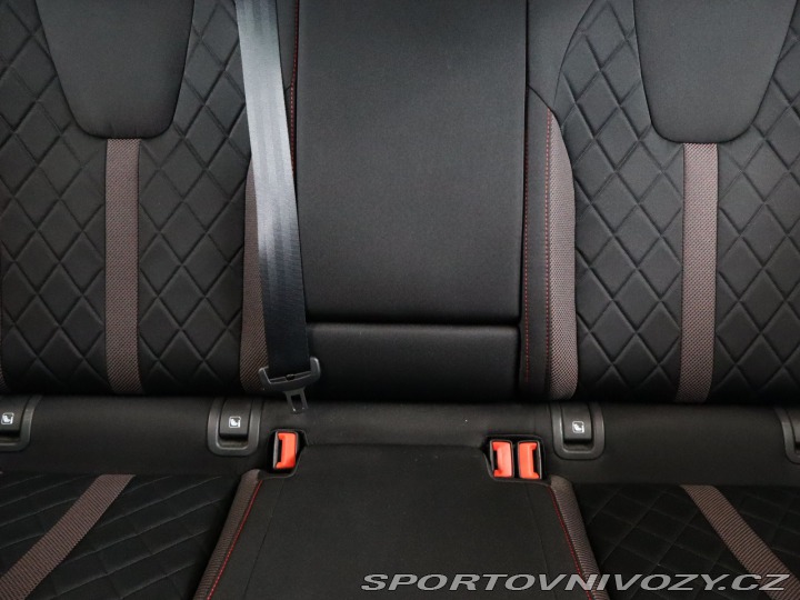 Škoda Octavia RS RS RS 2.0 TDI 4x4 2024