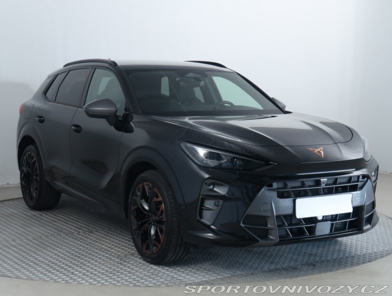 Cupra Terramar 2.0 TSI 4Drive
