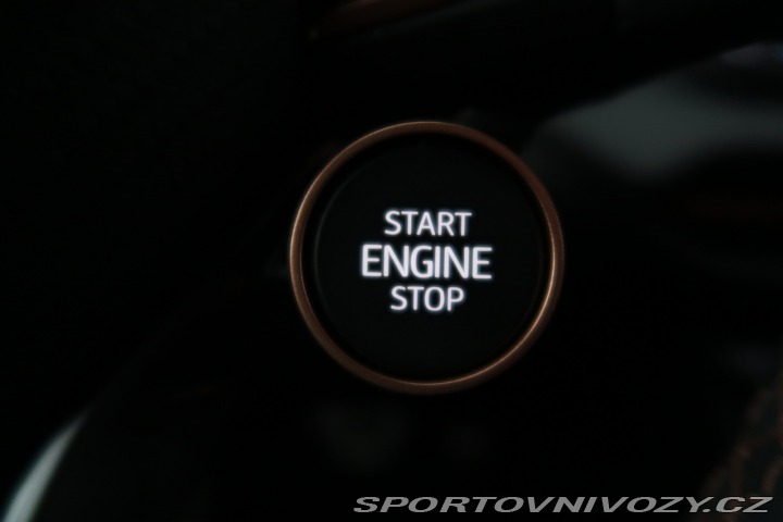 Cupra Terramar 2.0 TSI 4Drive 2025