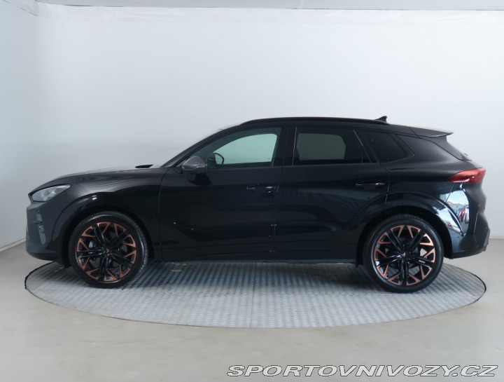 Cupra Terramar 2.0 TSI 4Drive 2025
