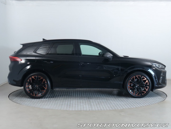 Cupra Terramar 2.0 TSI 4Drive 2025