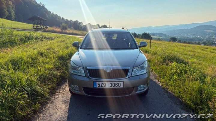 Škoda Ostatní modely Octavia 2,0   TDI 4x4 2008