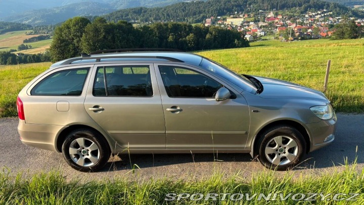 Škoda Ostatní modely Octavia 2,0   TDI 4x4 2008