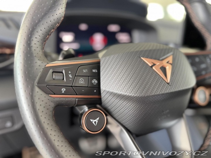 Cupra Terramar 2,0TSI VZ 265*4x4*DPH*5Le 2026