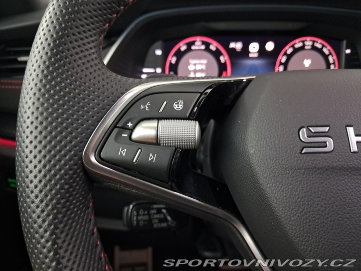 Škoda Octavia RS RS RS 2.0 TSI 2025